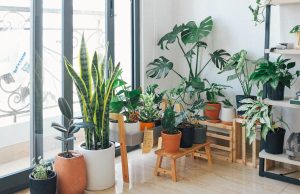 Şık ve Konforlu Bir Bahçe Dekorasyonu Nasıl Yaratılır? sik ve konforlu bir bahce dekorasyonu nasil yaratilir