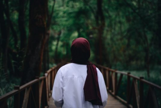 Zarafetin İncisi: Tesettür Abiye Elbiseleri al tatari1