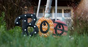 Pomeranian Boo: Dünyanın En Sevimli Köpeği evciilplatform4
