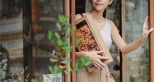 Matara, Dünya Küre Atlası ve Rüya Kapanı: Farklı Kültürlerden İkonik Objeler sobepy4