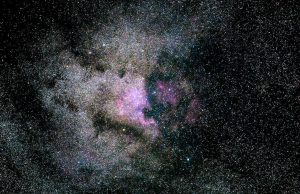 koz8